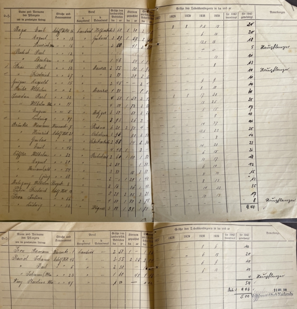 Tabakanbauflächen Palmbach 1940